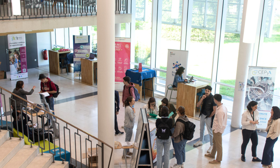 Forum and Job Dating