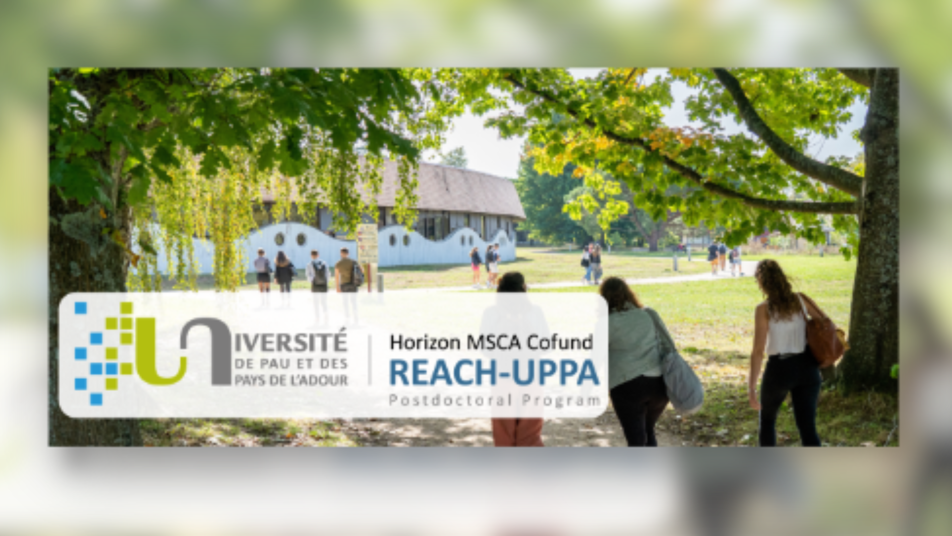 REACH-UPPA Postdoctoral Programme at UPPA (France) – Call Now Open (5 Positions)