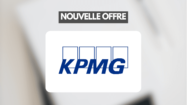 Consultant·e Audit IT/Conseil IT (F/H)
